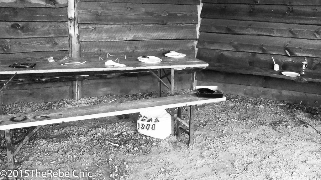 20150831_200814_21017107436_o