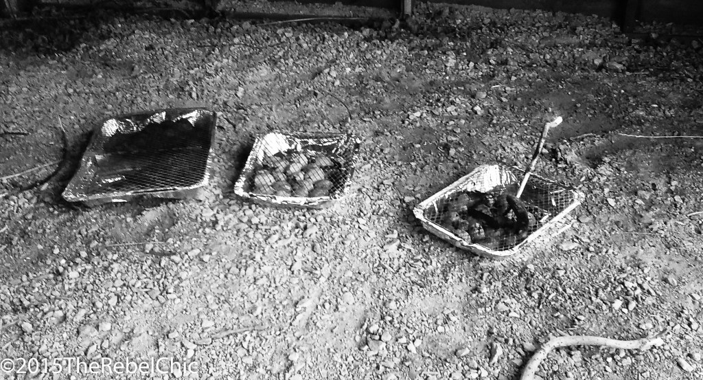 20150831_200823_21043342875_o