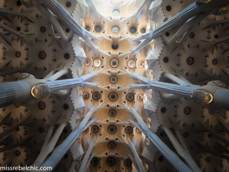 DSCF7492