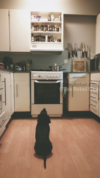 zorro kitchen shot-3