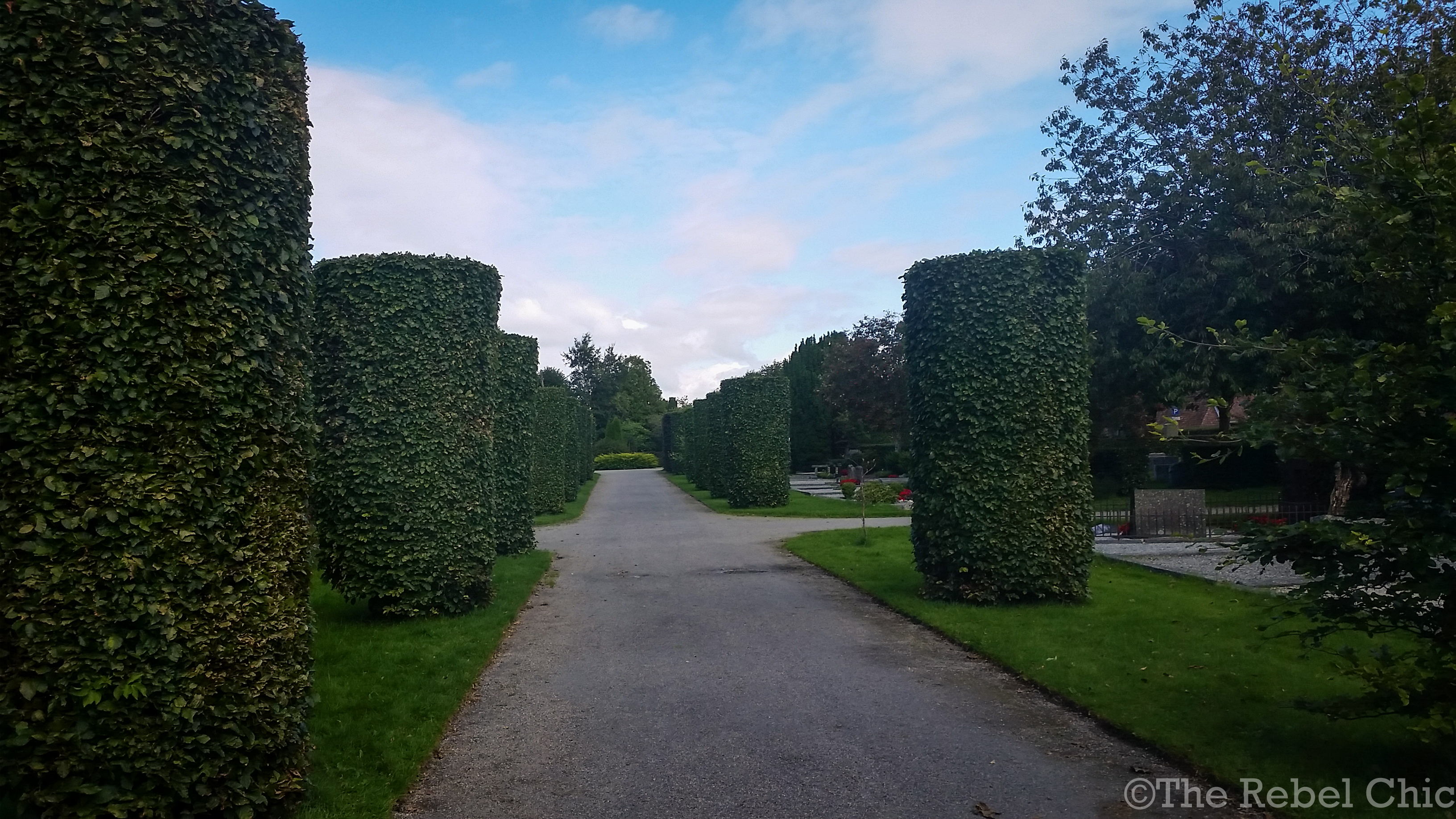 A Walk in the Cemetery