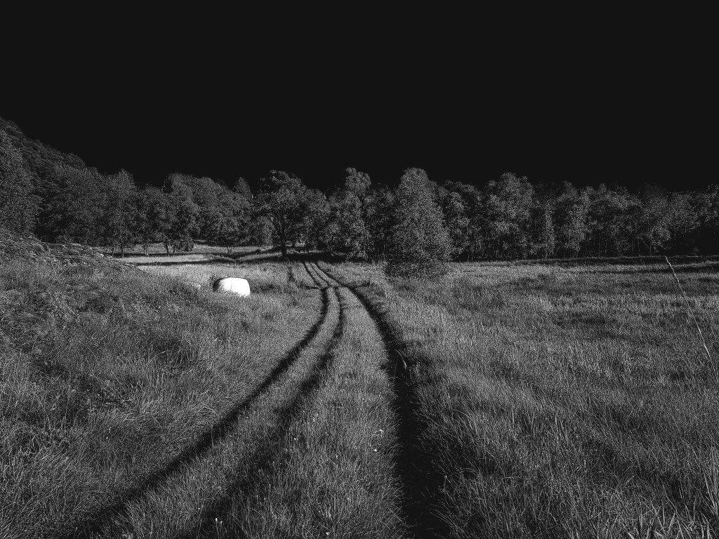 Monochrome Series 1: Moods do not lie.