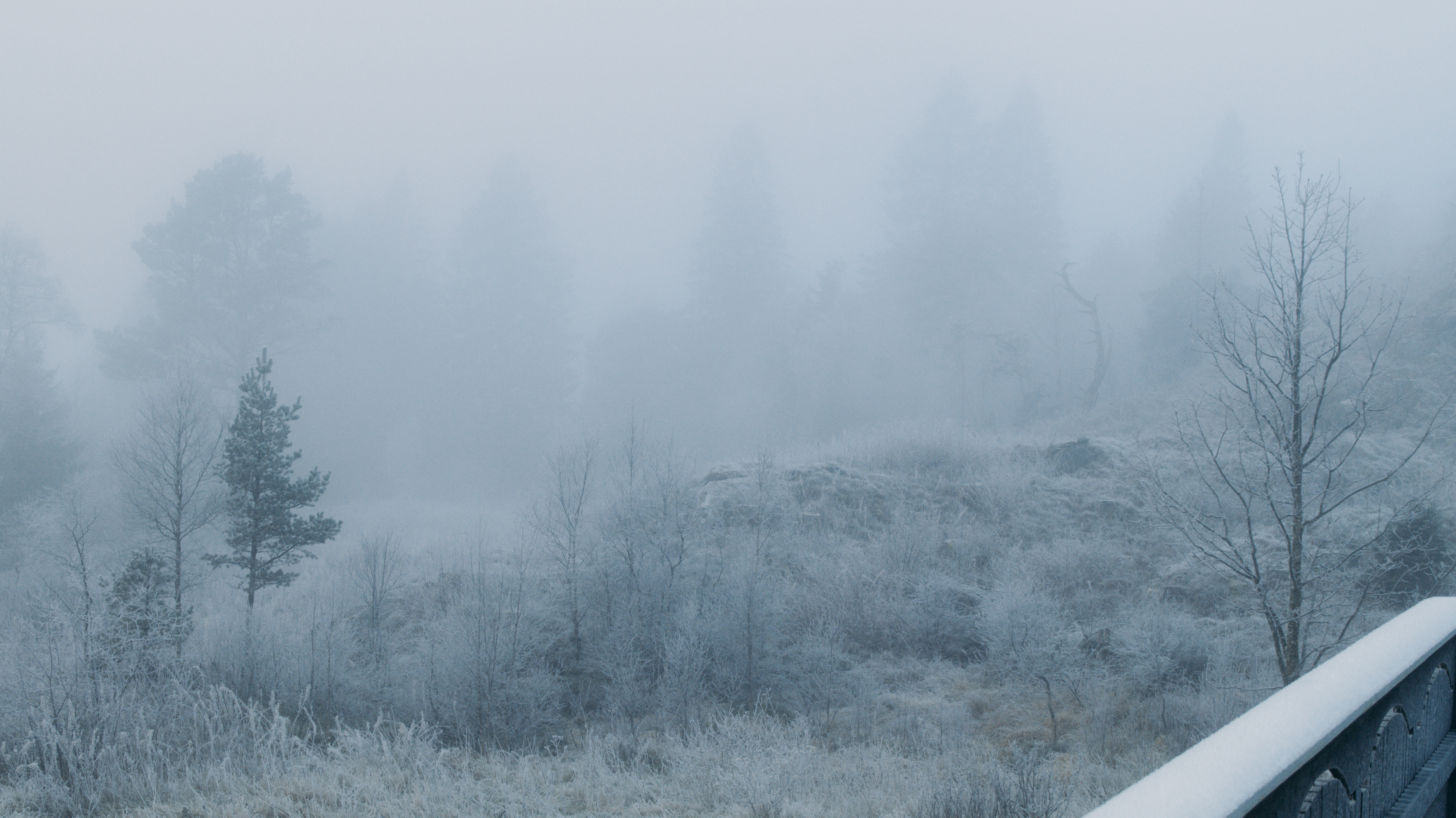 A Foggy Beginning
