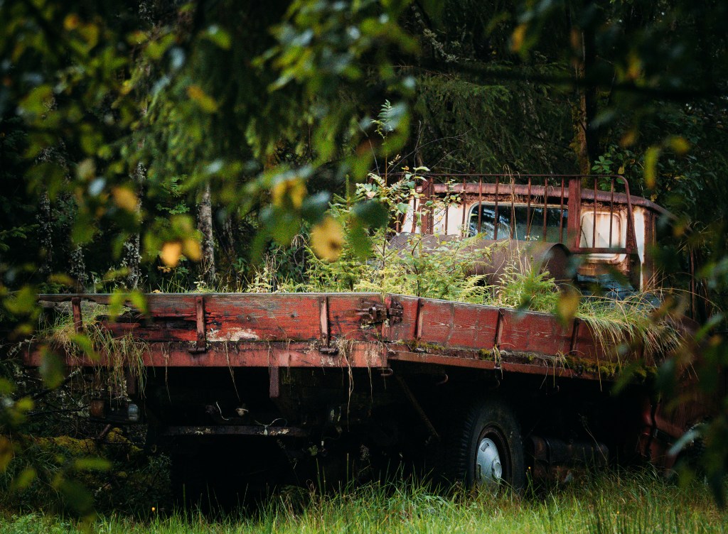 Trying Out EM1X- part&nbsp;II