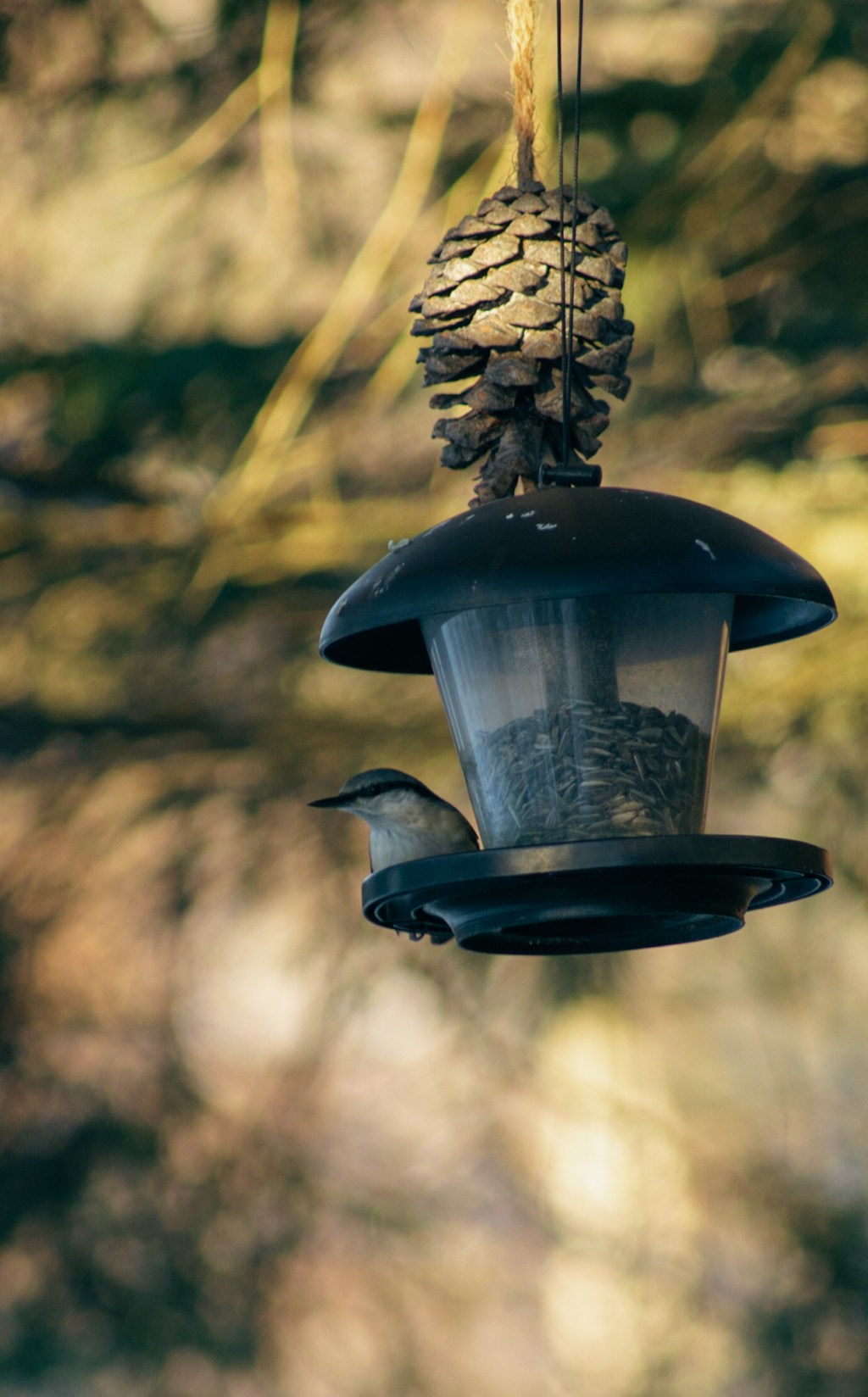 The Small Ones Deserve to Live&nbsp;Too